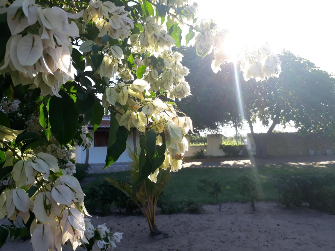 Condominio E Pousada Chales Sossego Do Gostoso Sao Jose  Екстериор снимка